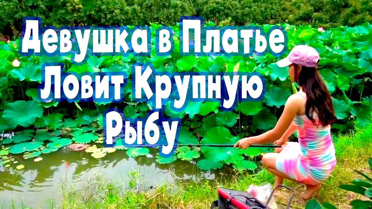 Рыбалка на Видео с Красивой Девушкой на поплавок в заросшем водоеме Поймала крупную рыбу на удочку