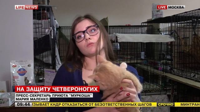 Эфир на Life News. Вопрос Президенту