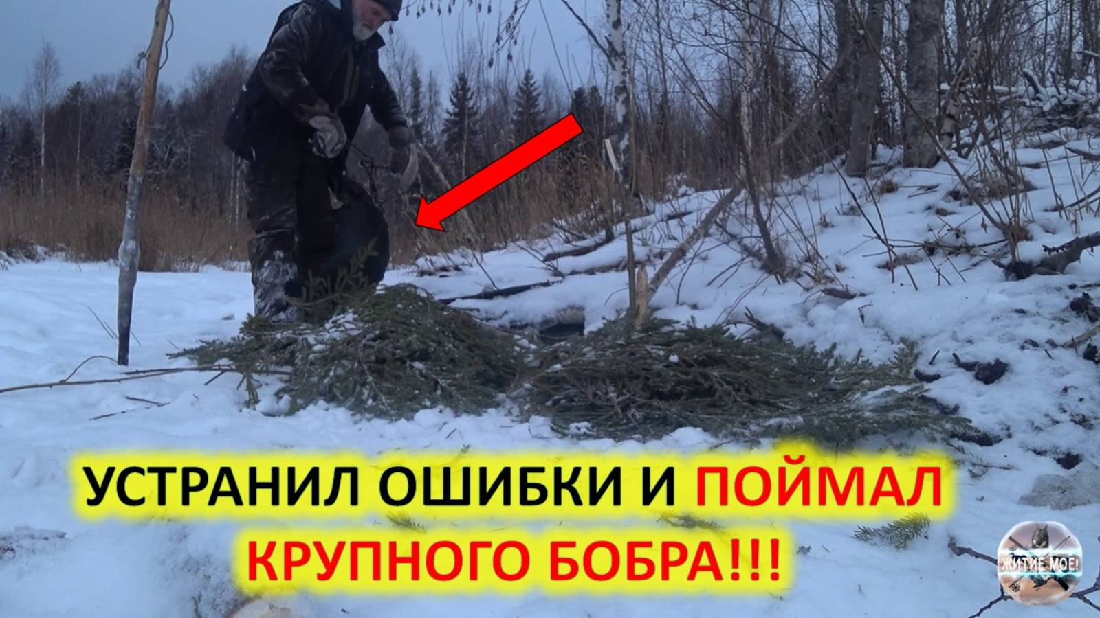 Бобры продолжают попадаться.Удачная охота. Зимняя охота на бобра с капканами