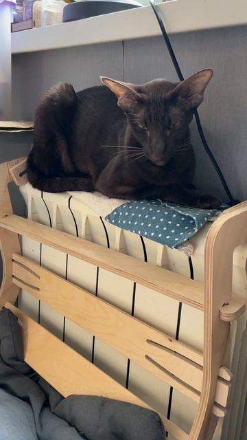 Миша разговаривает