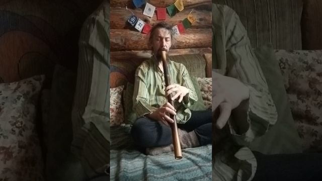 Сякухати глубокая. Артикул 2103