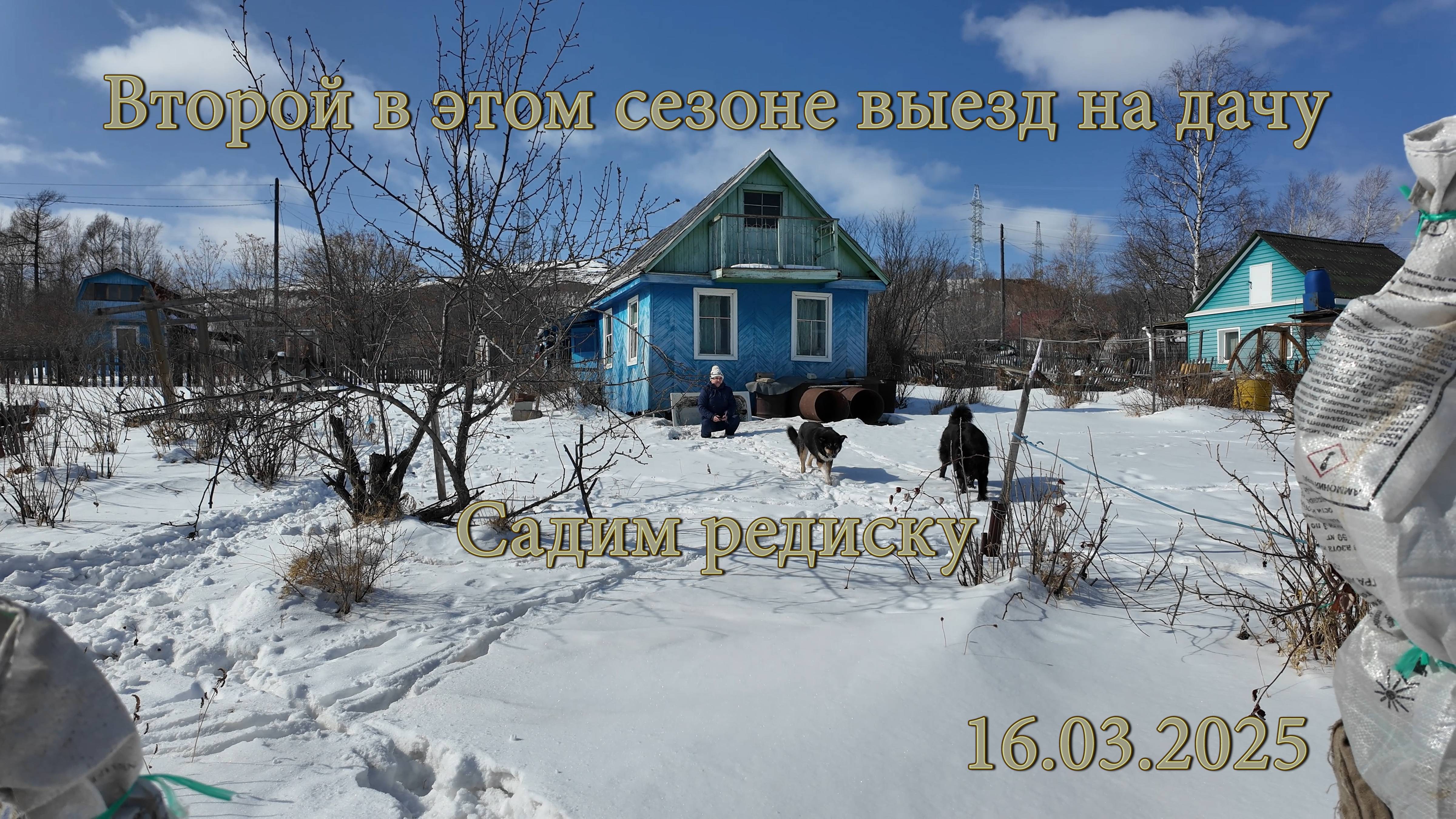 Второй в этом сезоне выезд на дачу. Садим редиску. 16.03.2025