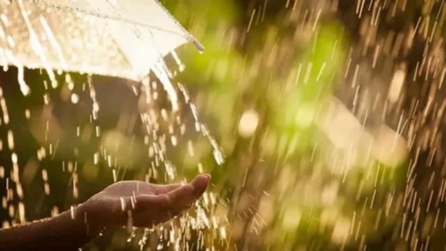 ДОЖДЬ. Автор, исполнитель Игорь Нестеров.