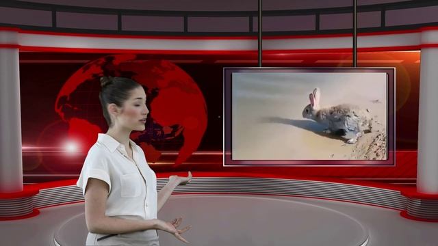 СМЕШНЫЕ НОВОСТИ ПРИКОЛЫ