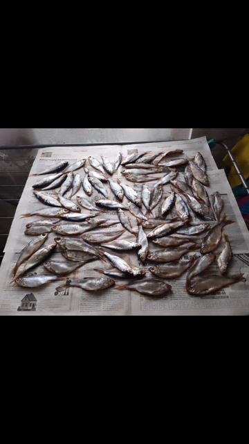 Рыбка сушится👍🎣