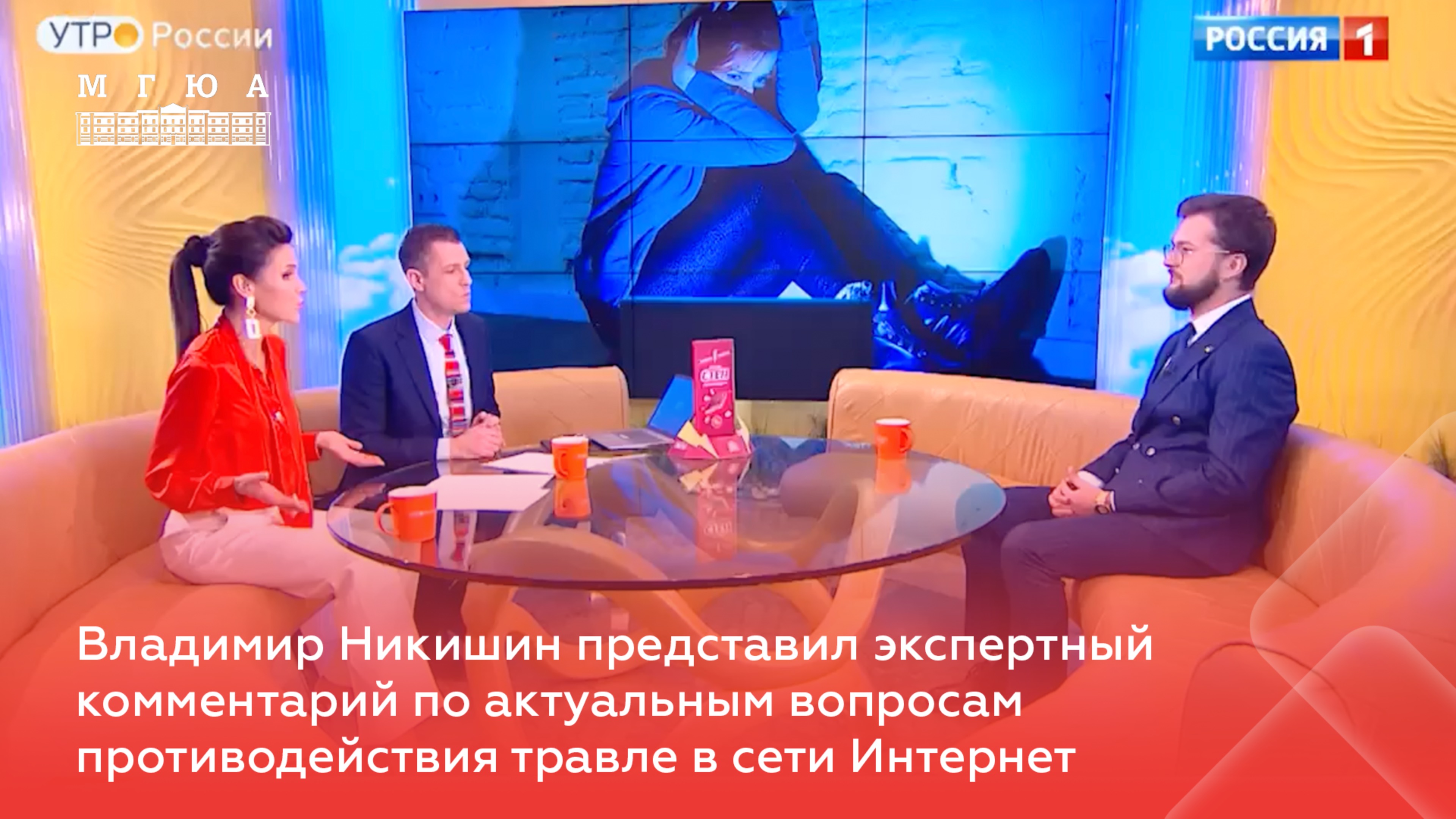Владимир Никишин представил комментарий по вопросам противодействия травле в сети Интернет