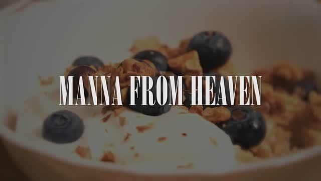 СТВО123_Михайловский_Мартиросов_Коробкова_MannaFromHeaven