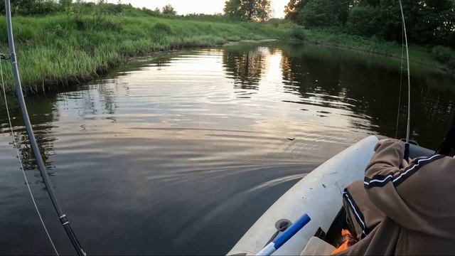 ОСОБЕННОСТИ рыбалки на Вятке на стоке с озера. Щука сама скачет в сачок.