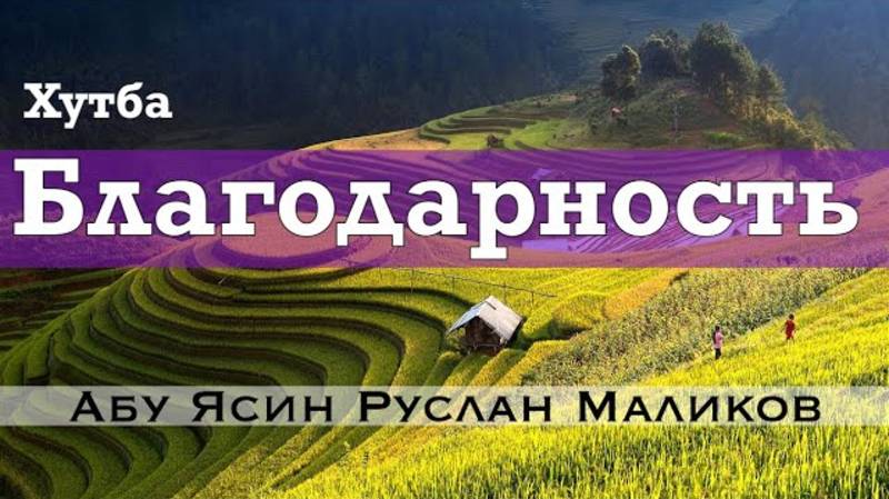 Благодарность