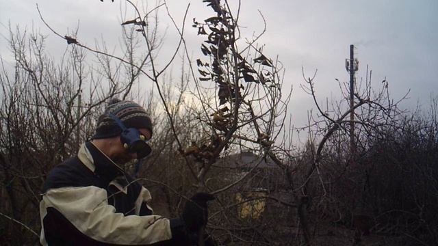 Садовый измельчитель ЗУБР-ЗИЭ-44-2800: работа оператора в защитных очках