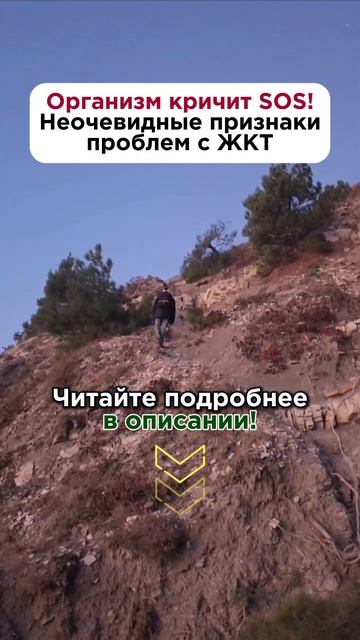 Организм кричит SOS! Неочевидные признаки проблем с ЖКТ #кишечник #пшб #иринабаранова