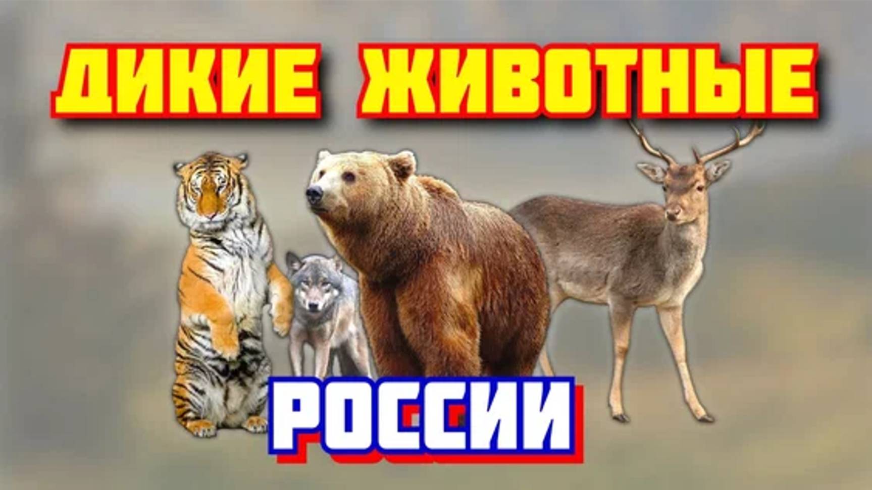 Голоса и Звуки диких животных как они говорят