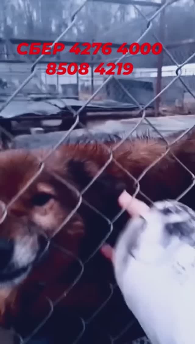 Всем нужна ласка и забота!