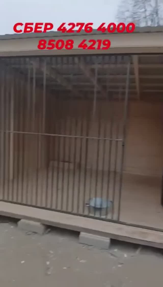 Подарок от группы "Тодес"