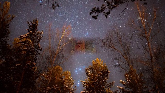 Звёздный океан тайги (вариация 6)