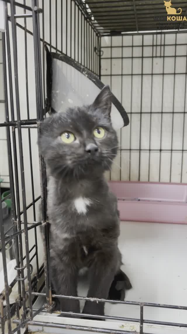 Графит (уже дома)