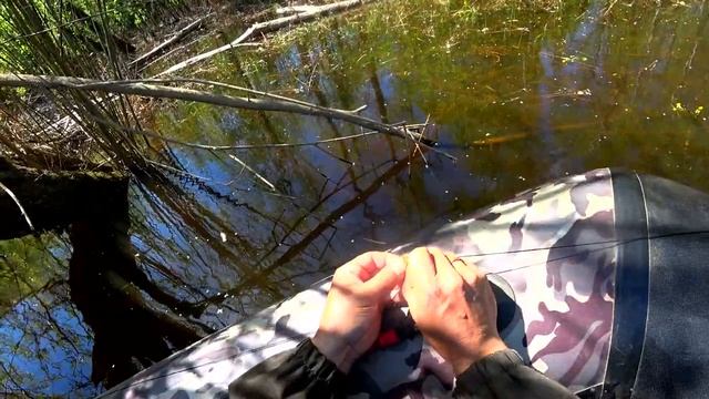 ✅📥 Видео с Ютюб. Проверяю перемёта на Язя. День первый. Неожиданный и приятный сюрприз