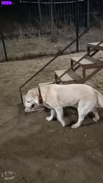 На площадке