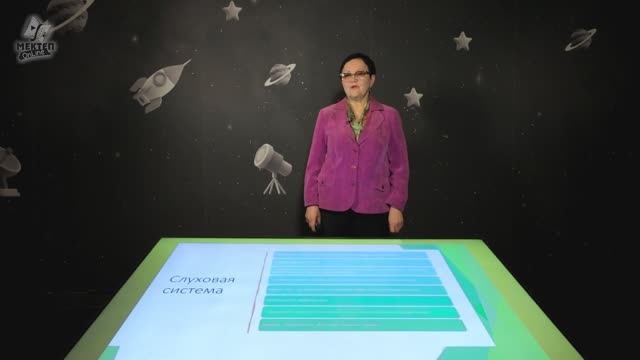 5. Онтогенез развития слуха.