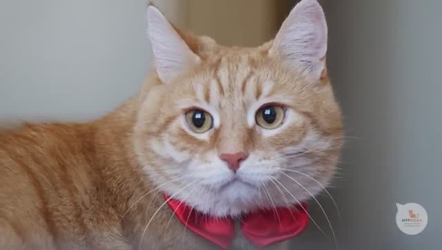 В гостях у Армина!