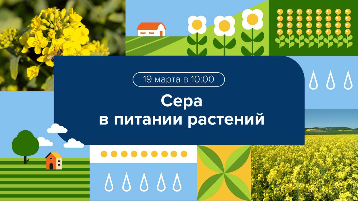 Вебинар "Сера в питании растений: неочевидные решения"