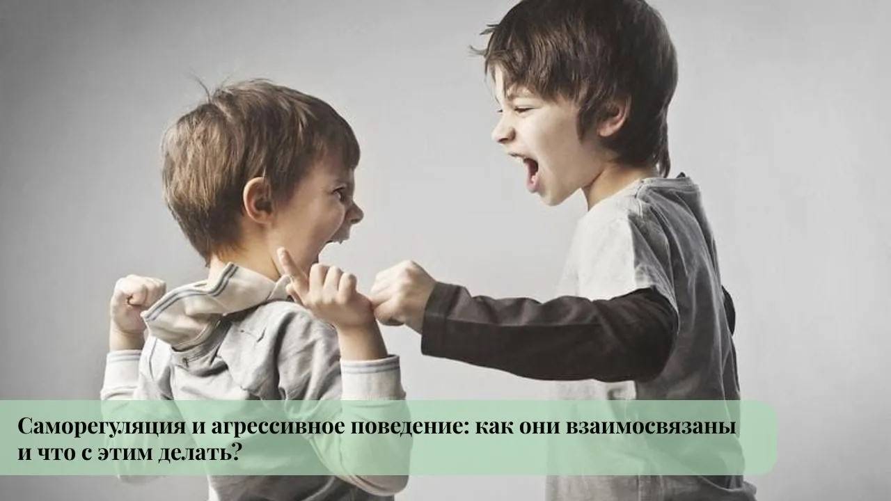 Саморегуляция и агрессивное поведение: как они взаимосвязаны и что с этим делать?
