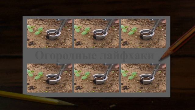 Самодельная приспособа для быстрой и удобной посадки, пересадки, пикирования рассады, всходов