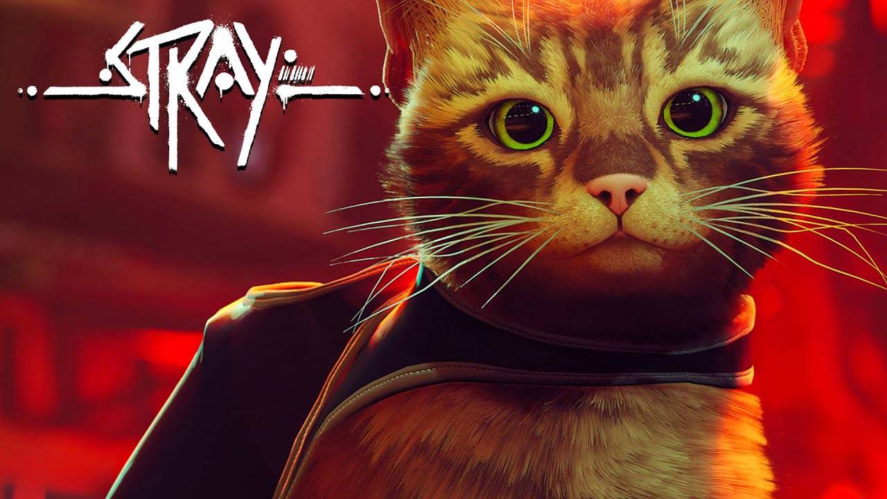 STRAY Продолжение Часть 3