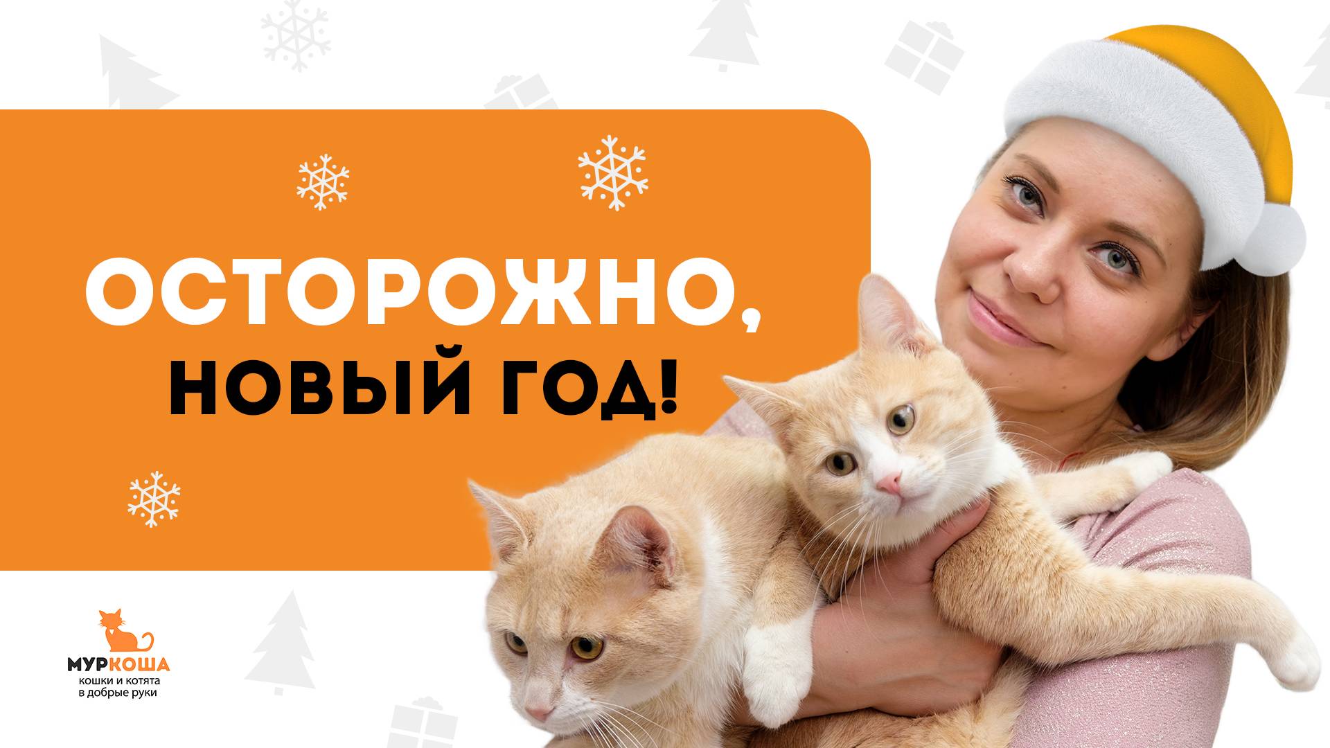 Школа Муркоши #12. Осторожно, Новый год!