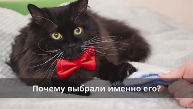 В гостях у Мэтью!