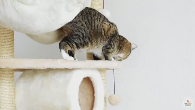 В гостях у Джованни и Гвидона!