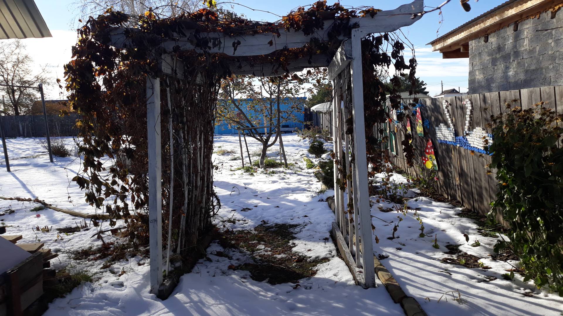 Деревянная арка для дикого винограда и клематиса. Арка, как фотозона своими руками. #53