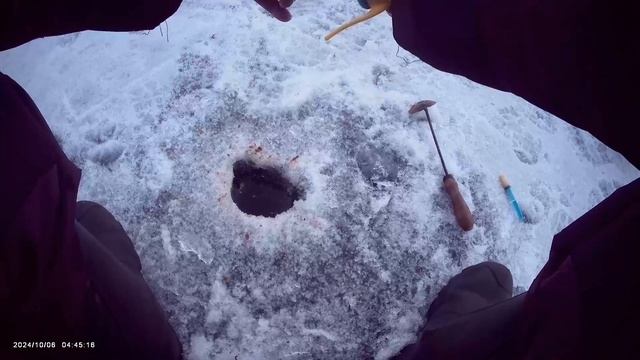 Кандрыкуль🎣 Вечерний клев👍 Мормышка 2 мм. Леска 0,085 мм. Наживка мотыль и тесто🎣