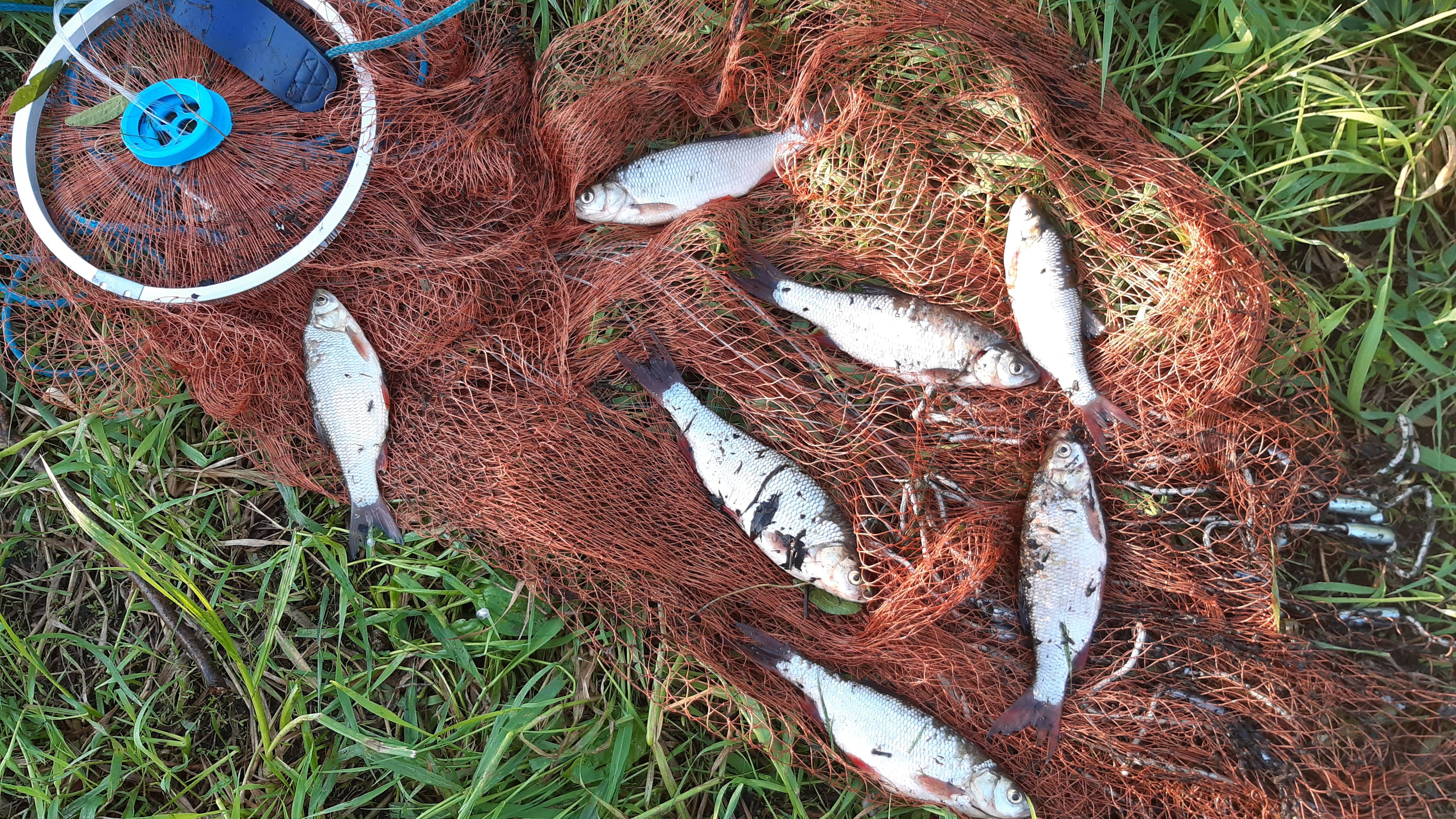 Кастинговая сетка - нарезка.