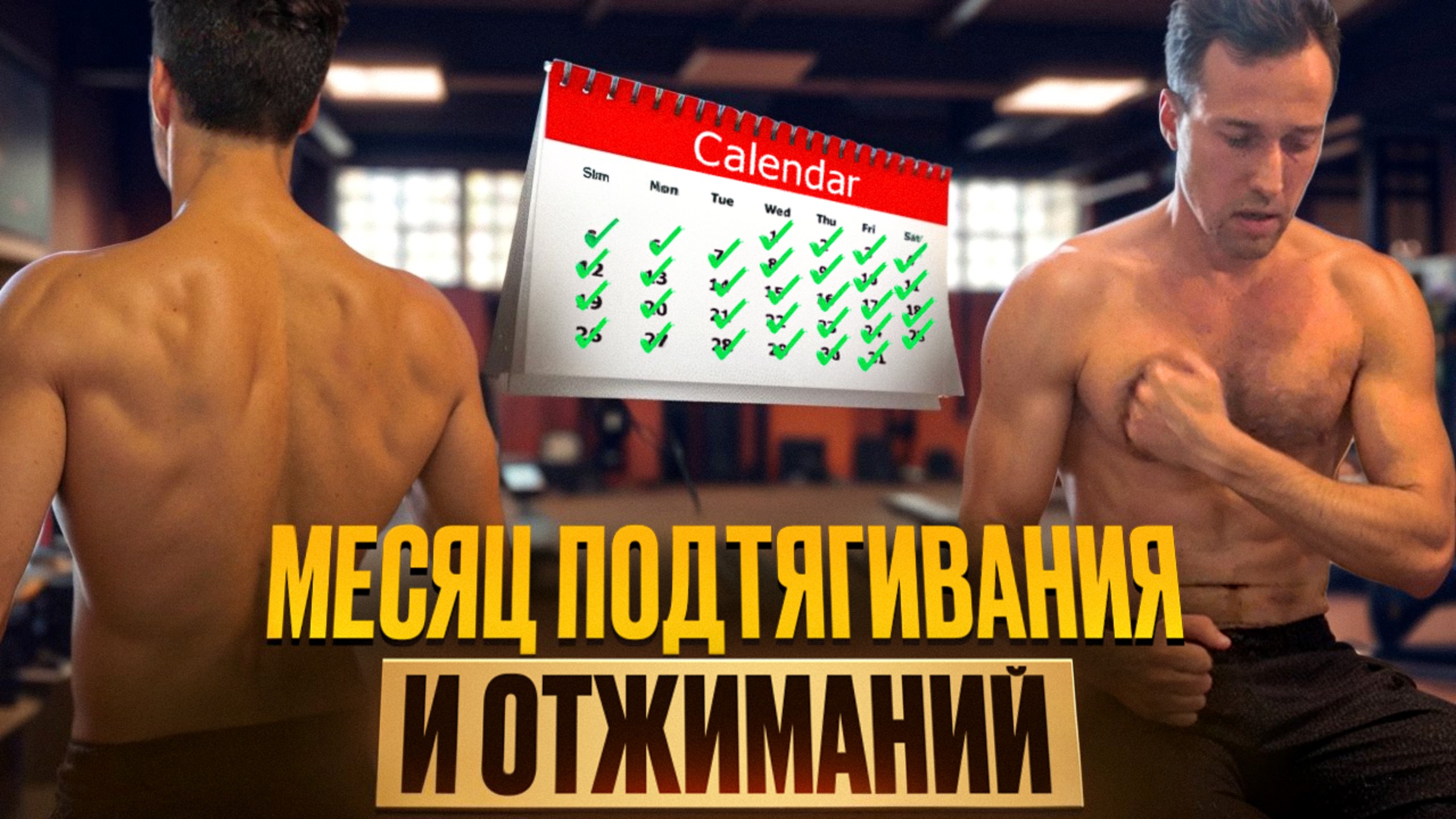 Спустя месяц ежедневных подтягиваний и отжиманий.