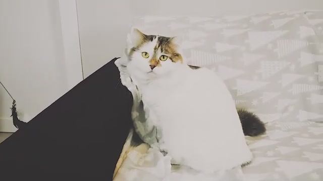 В гостях у Лексика!