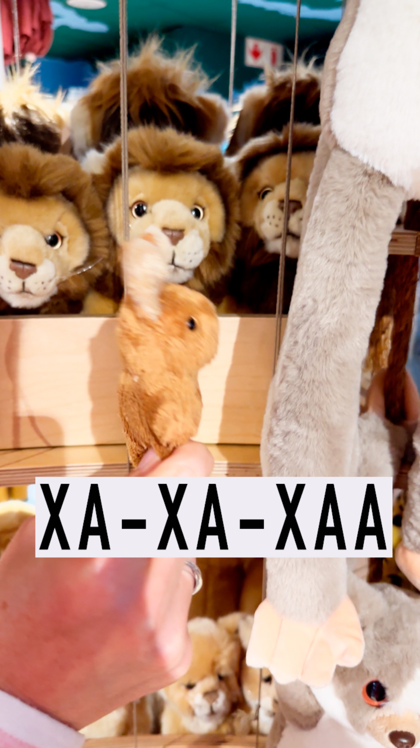 Кенгуряша - Хулиганка #ЮАР