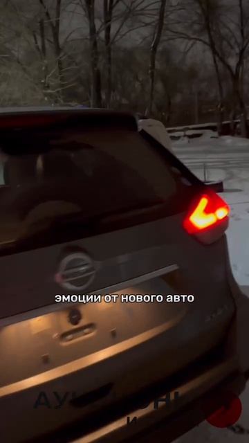 Выдача автомобиля клиенту и отзыв