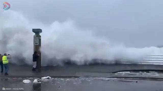 Одно из миллиарда мгновений на природе - Лучшее в Этом году