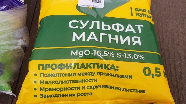 Первая и главная подкормка чеснока весной. Будет крупный  и без пожелтения листьев.