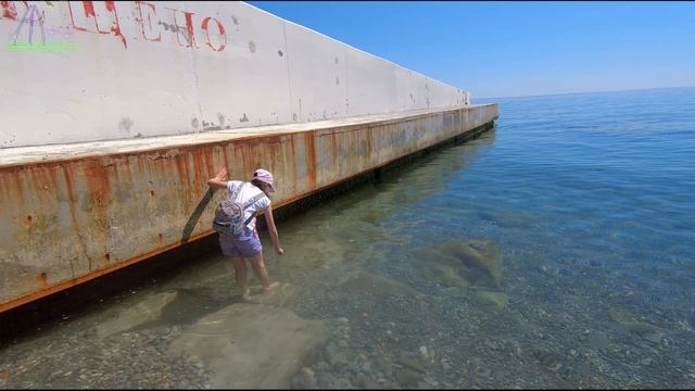 Ловим медуз в Чёрном Море. 01.06.24  #АндрейЛиля #andrliliya #гаспра #юбк #санаторийднепр