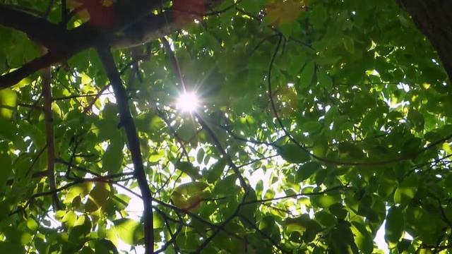 Релаксация  для успокоения нервной системы