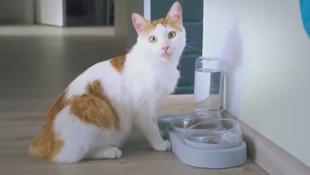 В гостях у Пучка!