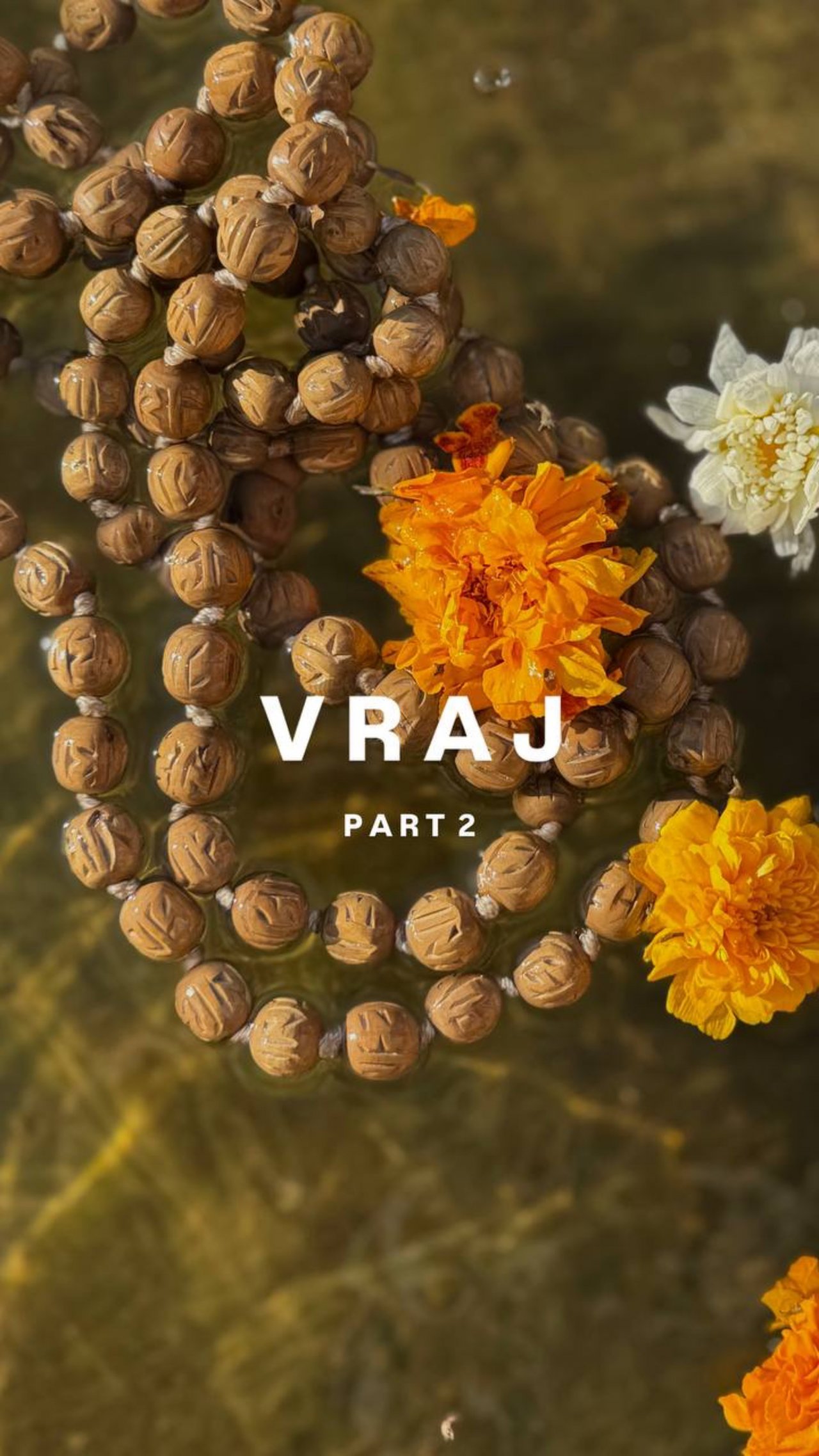 Вриндаван часть 2. Март 2025