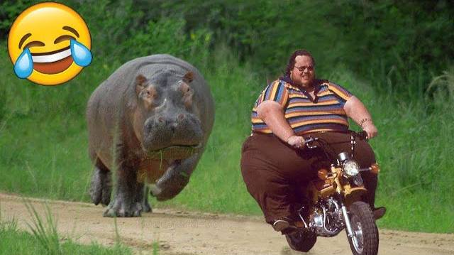 ПОПРОБУЙТЕ НЕ СМЕЯТЬСЯ 😆 Лучшая подборка смешных видео 😂