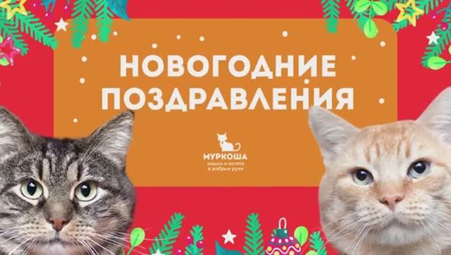 НОВОГОДНИЕ ПОЗДРАВЛЕНИЯ!