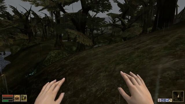 Morrowind part № 20