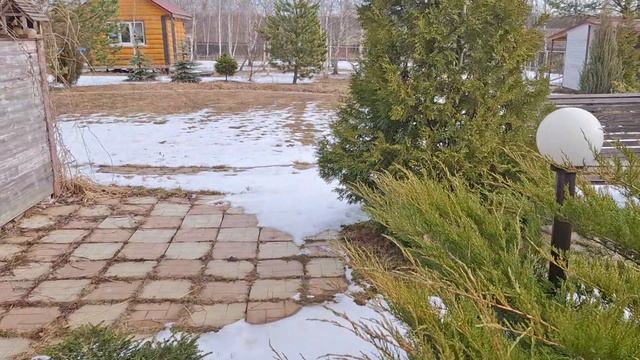 #14 Что надо для счастья, пару ростков салата и редиски. На дачу