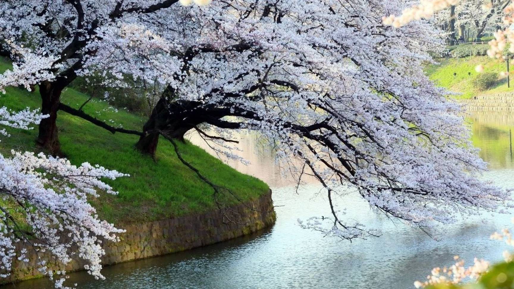 Балансы равноденствия