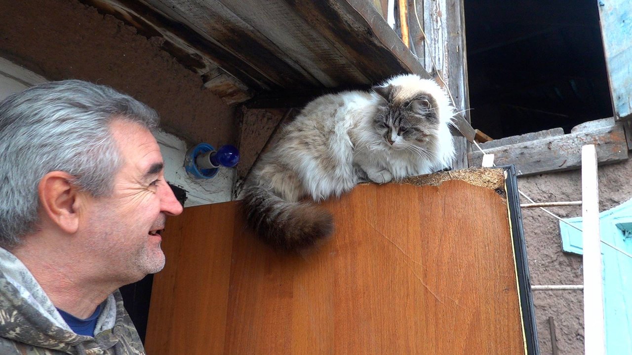 Домашний теплично-кото-огородно-кухонный влог о нашей жизни в Донецке